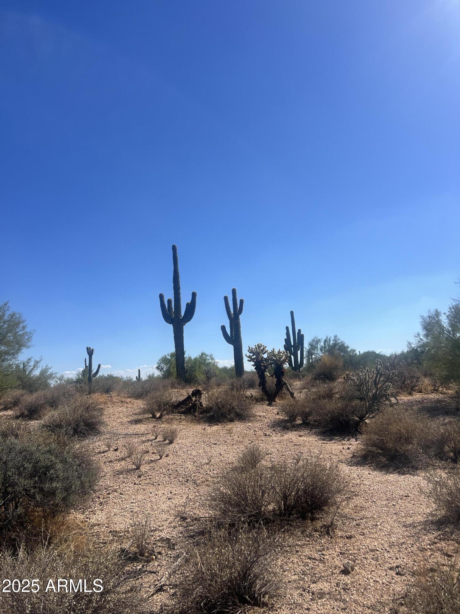 33505 North 55th Street Cave Creek, AZ 85331 - Photo 1 of 6 a view of a lake with a beach