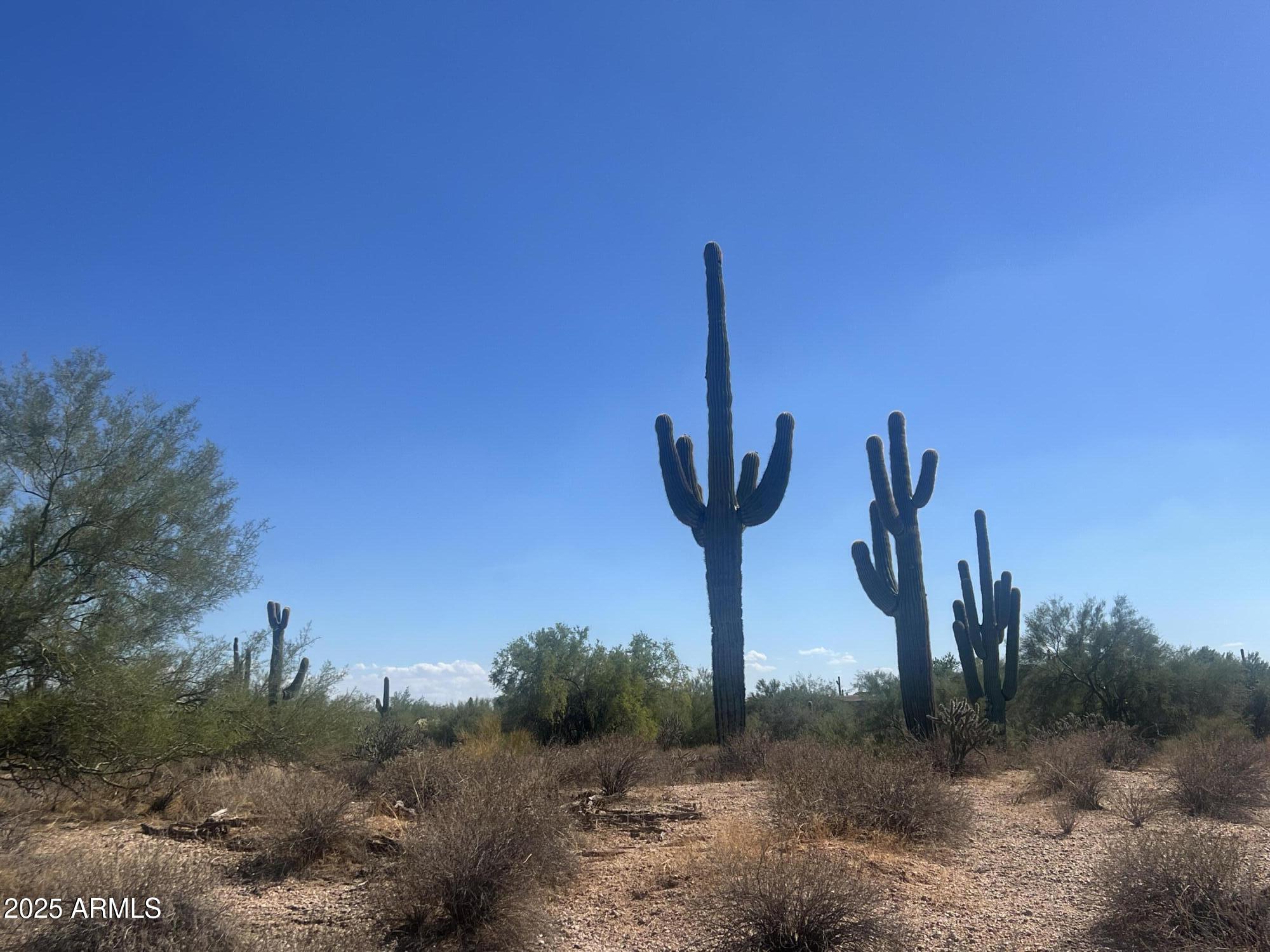 33505 North 55th Street Cave Creek, AZ 85331 - Photo 3 of 6 a view of a city with a tree in the background