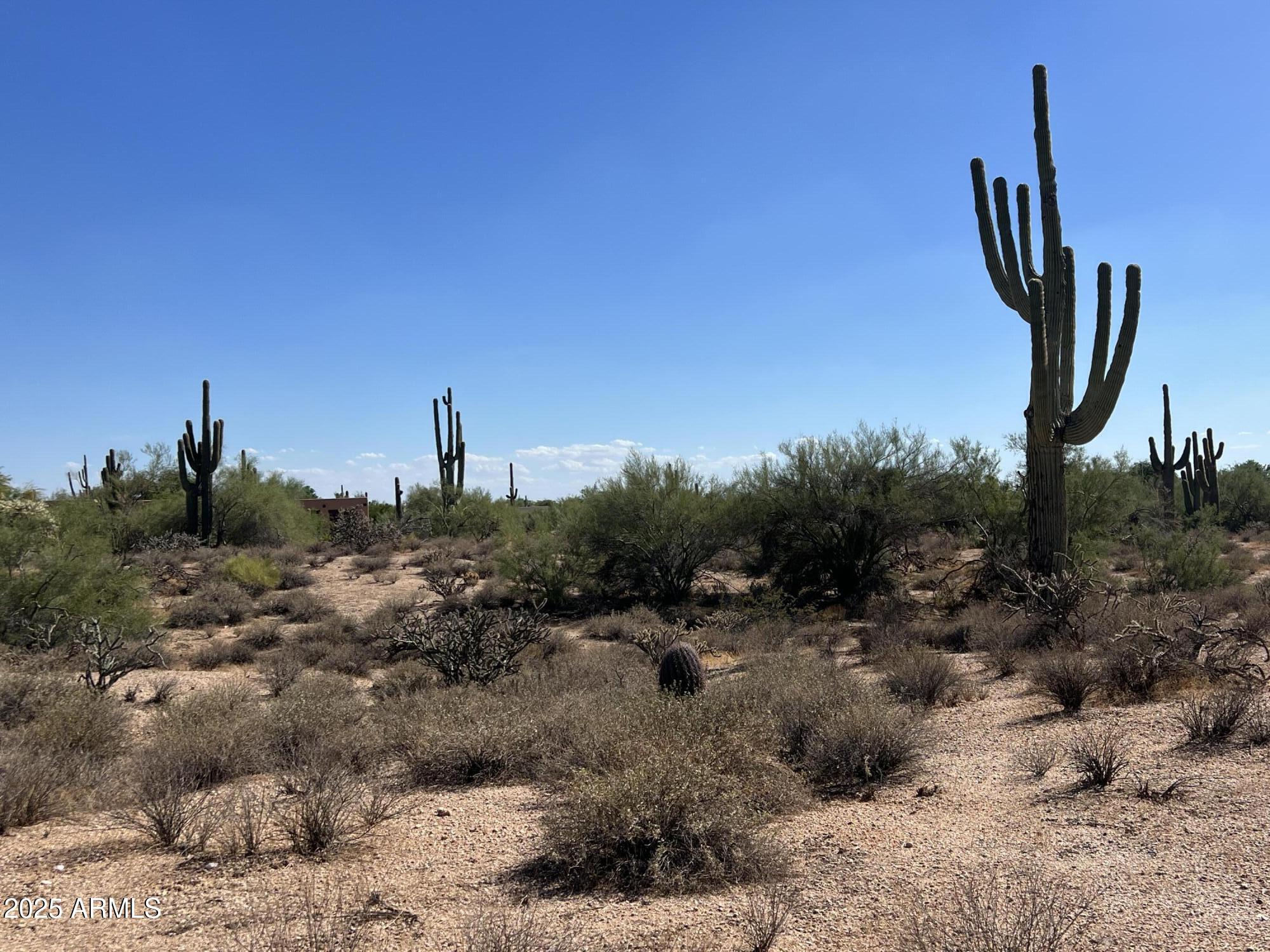 33505 North 55th Street Cave Creek, AZ 85331 - Photo 5 of 6