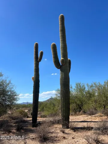 $556,500 | 33505 North 55th Street, Cave Creek, AZ 85331