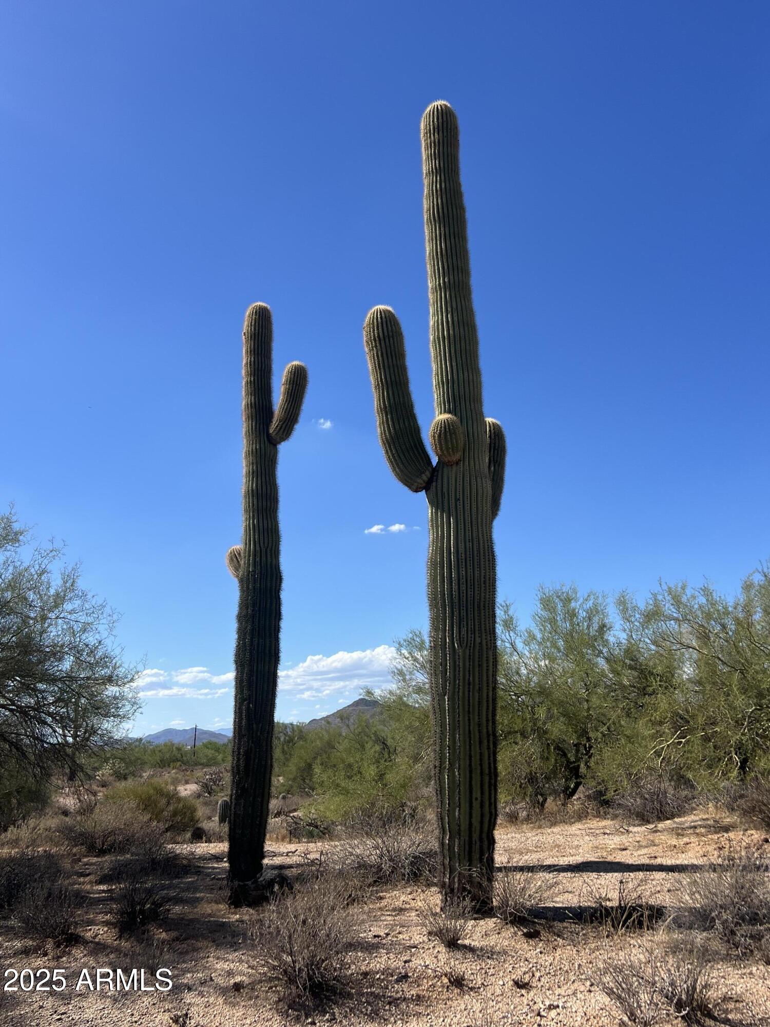 33505 North 55th Street Cave Creek, AZ 85331 - Photo 6 of 6 a front view of a house with a garden