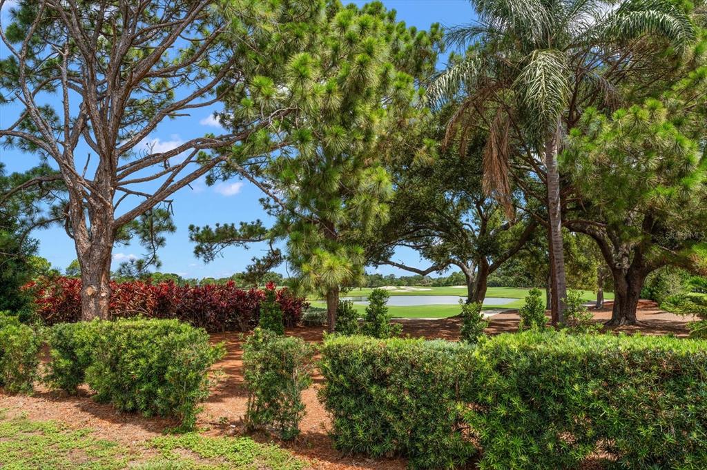 668 Mehlenbacher Road Clearwater, FL 33756 - Photo 63 of 69