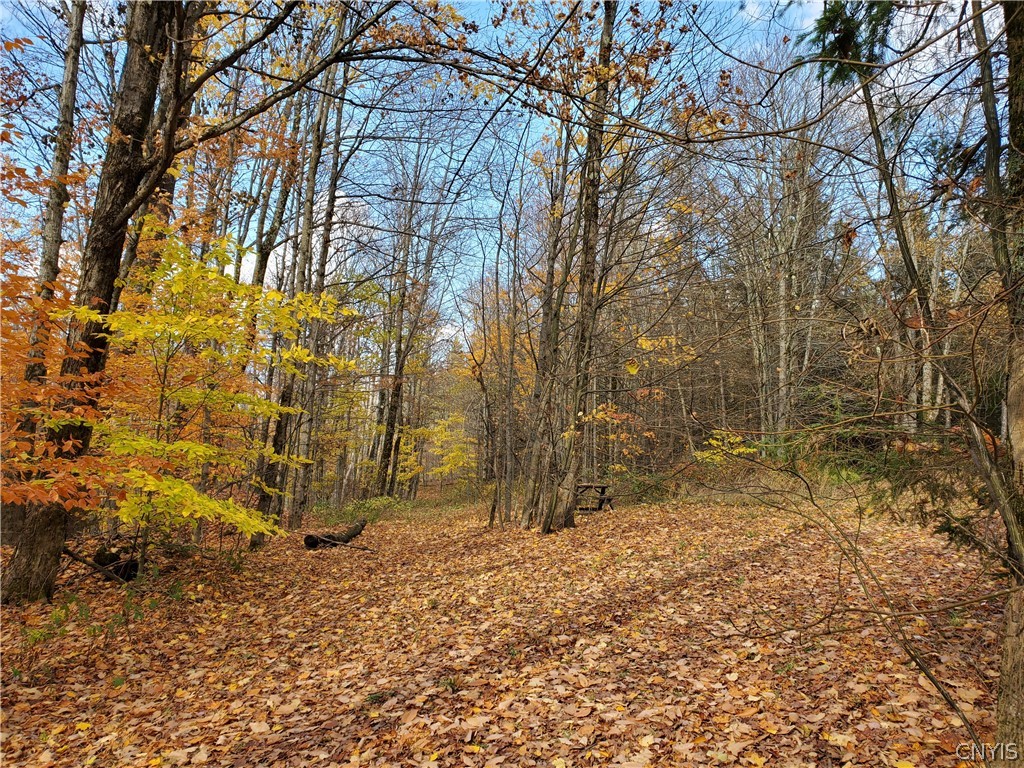 0 Johnson Road De Ruyter, NY 13052 - Photo 11 of 18 Gallery Image 11