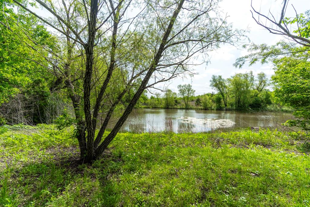 1401 East Campus Road Palmer, TX 75152 - Photo 2 of 21