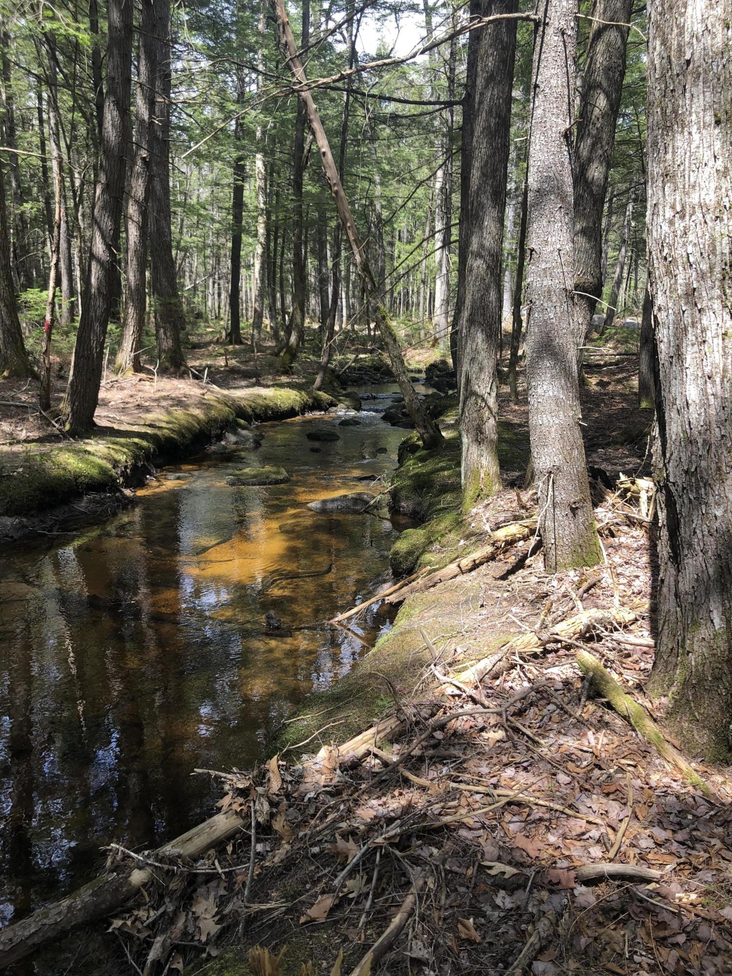 Lot 30 Portland Road Bridgton, ME 04009 - Photo 1 of 13 Photo May 05, 1 14 36 PM
