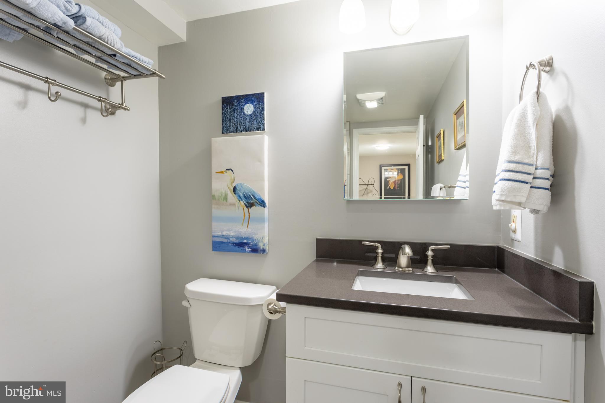 301 Bynum Ridge Road Forest Hill, MD 21050 - Photo 36 of 59 Full Bath - Lower Level