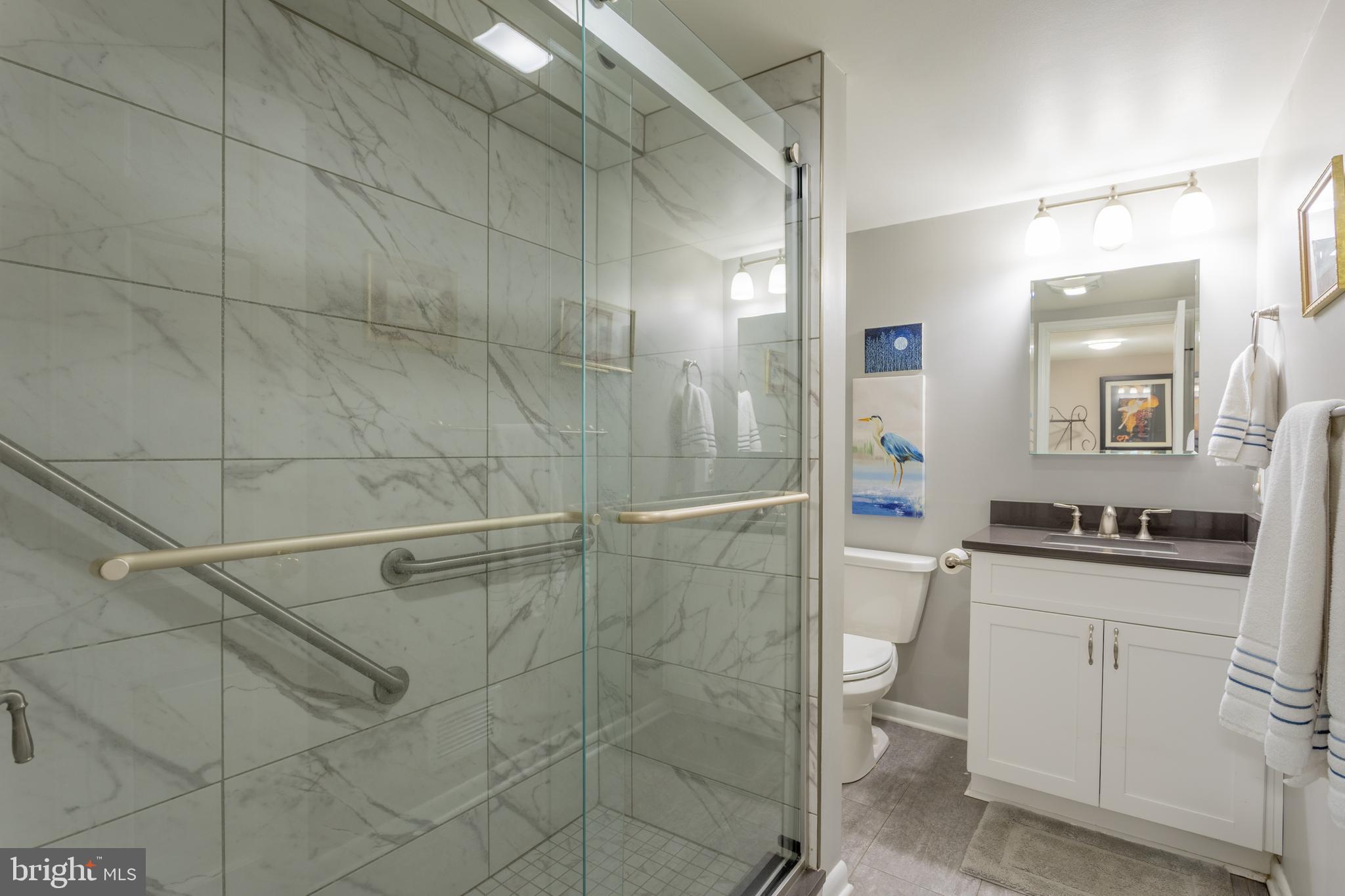 301 Bynum Ridge Road Forest Hill, MD 21050 - Photo 38 of 59 Full Bath - Lower Level
