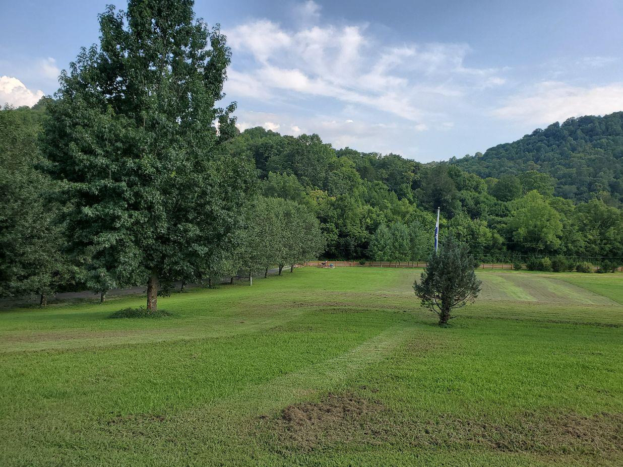 3800 Adamson Branch Road Liberty, TN 37095 - Photo 22 of 29 Great views from front porch