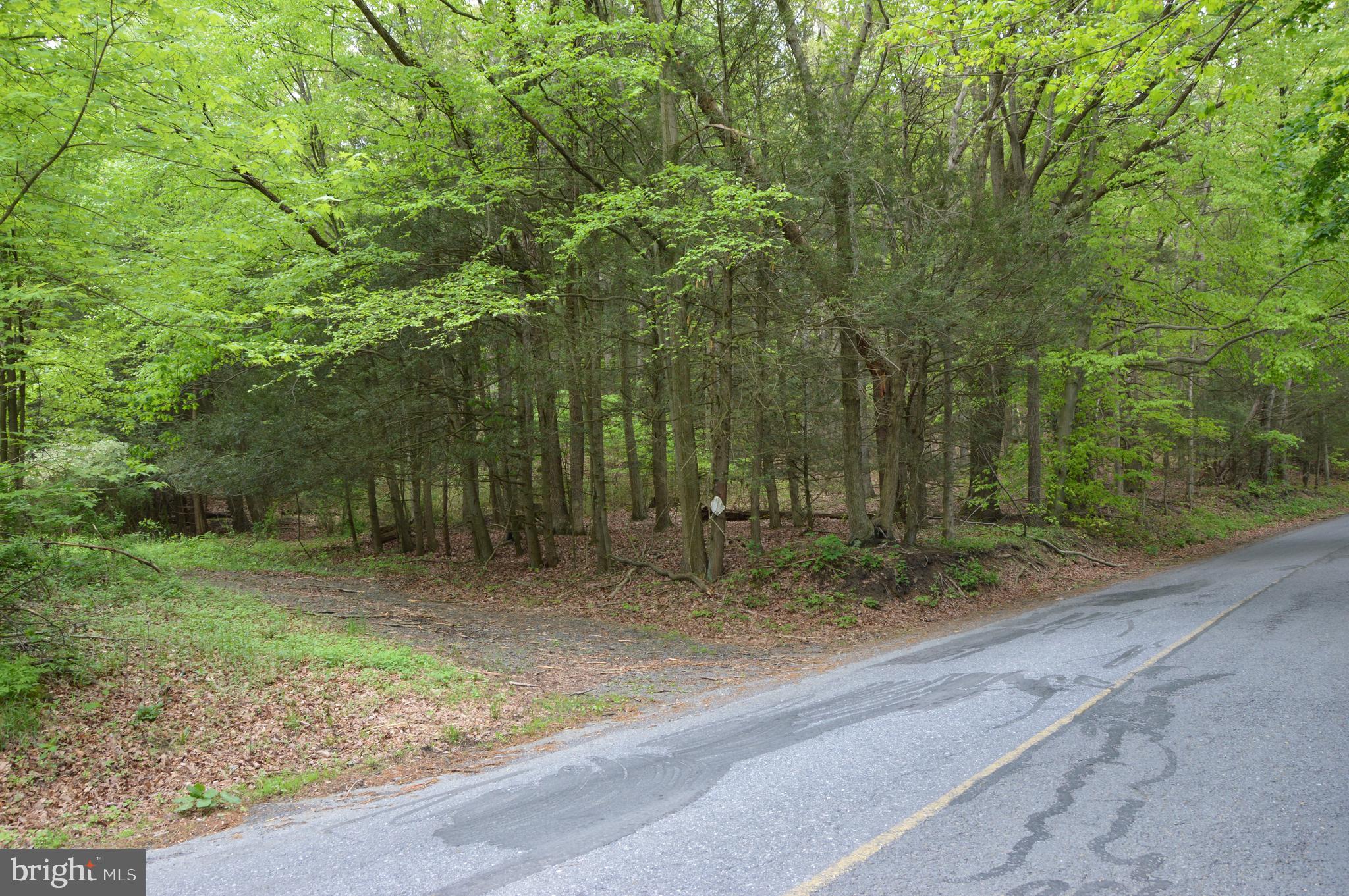 0 Berger Road Pine Grove, PA 17963 - Photo 1 of 5 Gallery Image 1