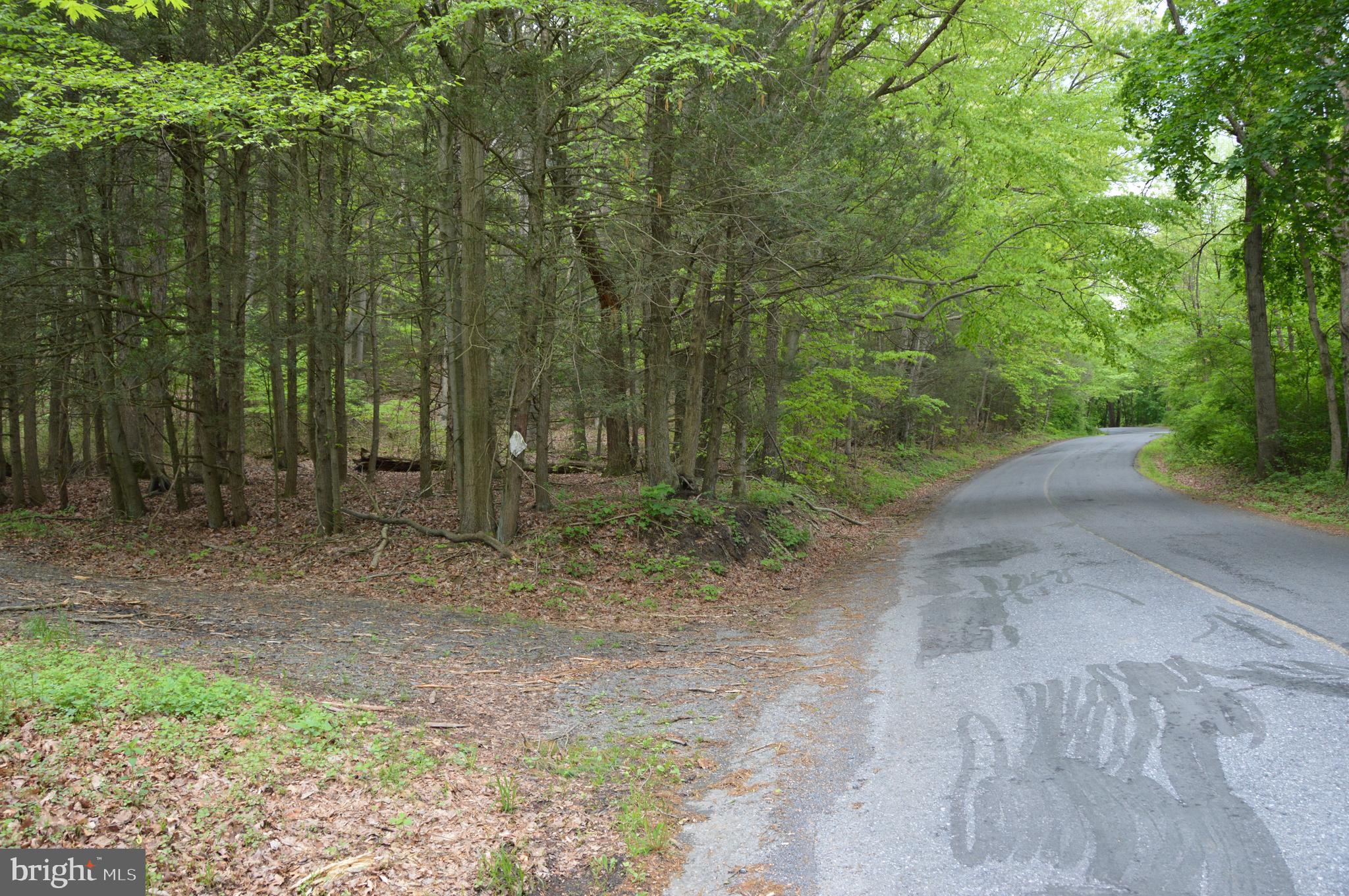 0 Berger Road Pine Grove, PA 17963 - Photo 2 of 5 Gallery Image 2