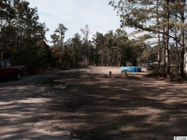 335 Red Bluff Road Green Sea, SC 29545 - Photo 6 of 15 Gallery Image 6
