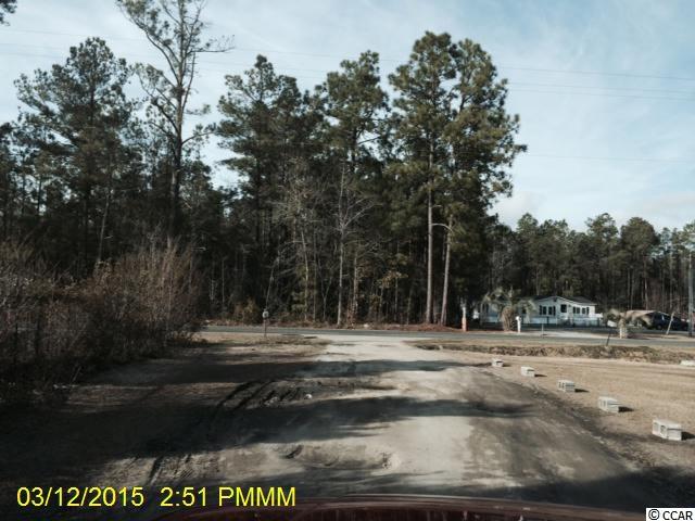 335 Red Bluff Road Green Sea, SC 29545 - Photo 8 of 15 Gallery Image 8