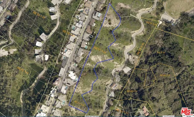 a close up of a plant