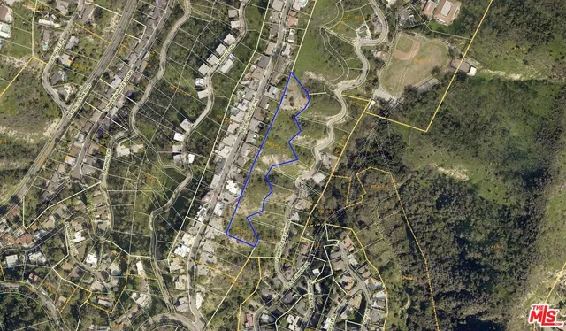 a close up of a plant