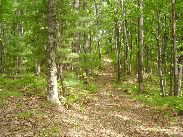 Snowmobile Trail Fairview, MI 48621 - Photo 10 of 12 Gallery Image 10