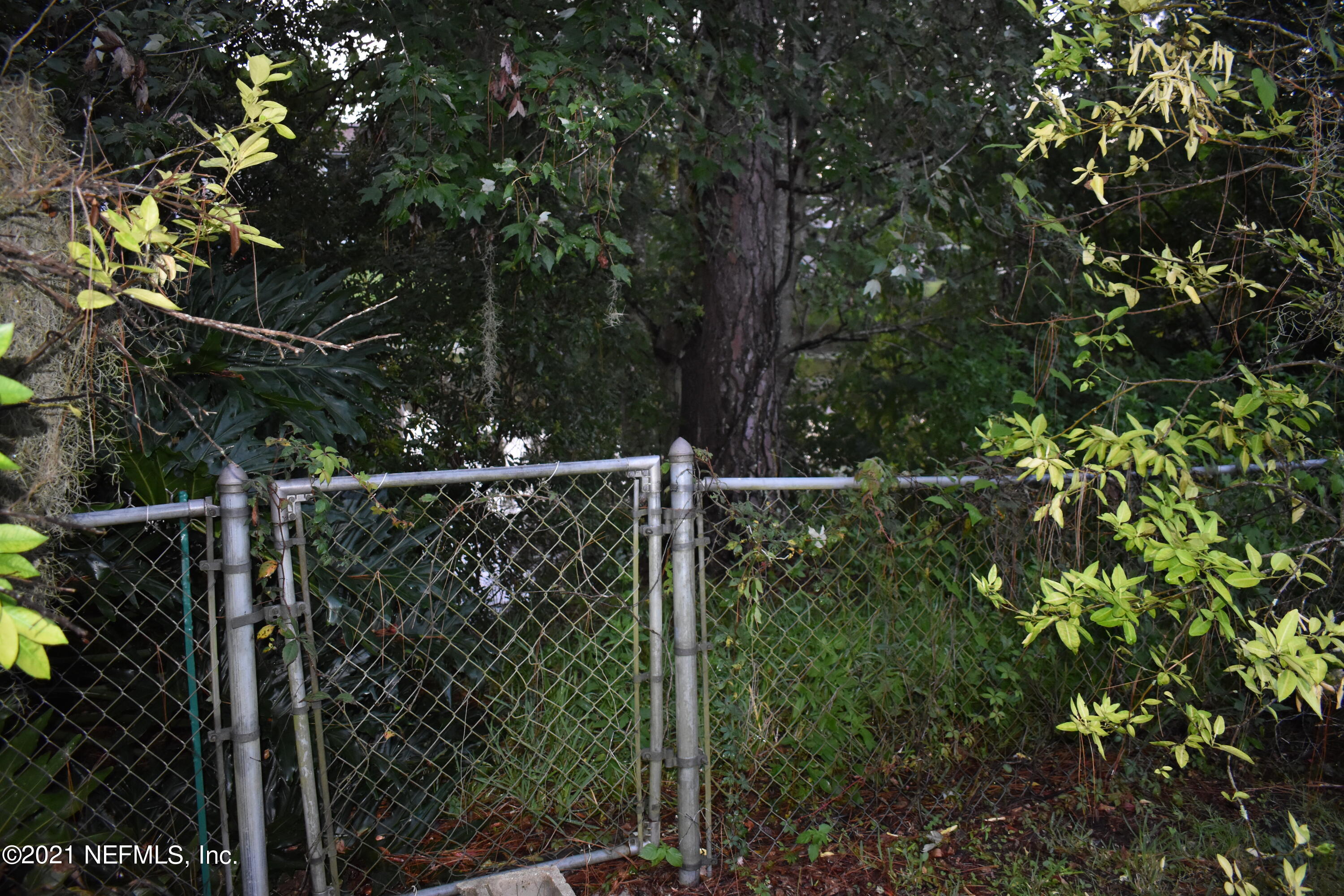 3678 North Ride Drive Jacksonville, FL 32223 - Photo 7 of 31 Lake Access