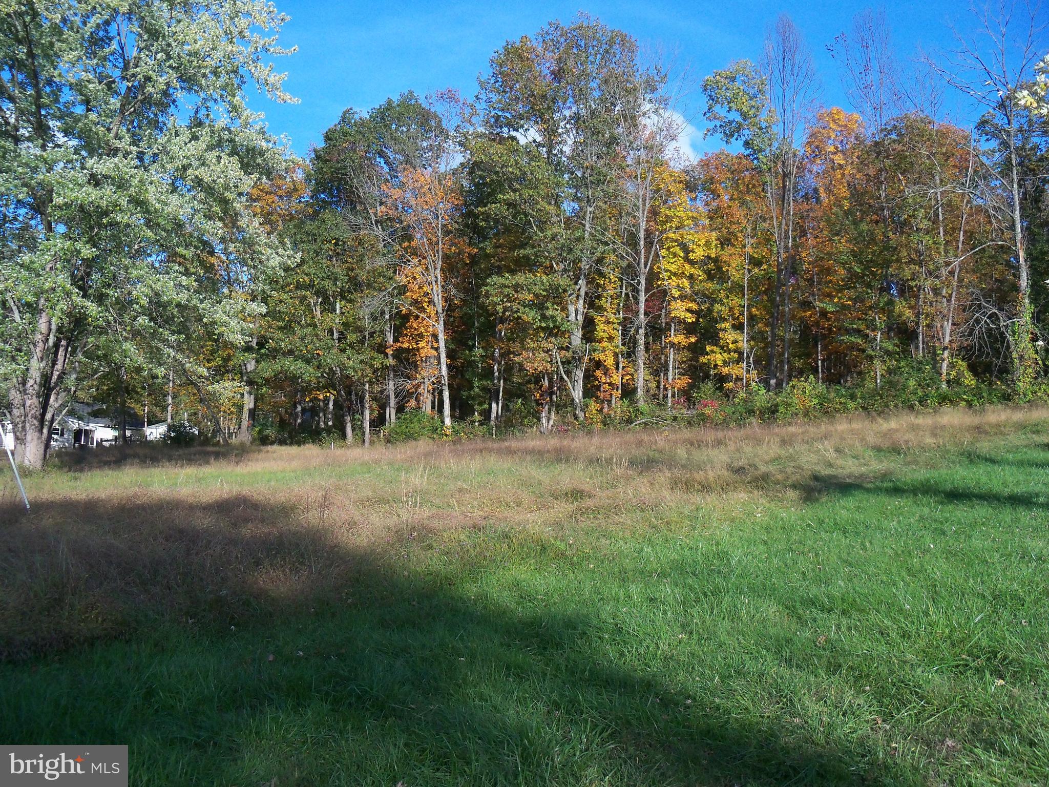 Halfway Road The Plains, VA 20198 - Photo 2 of 5 BACKS TO WOODS
