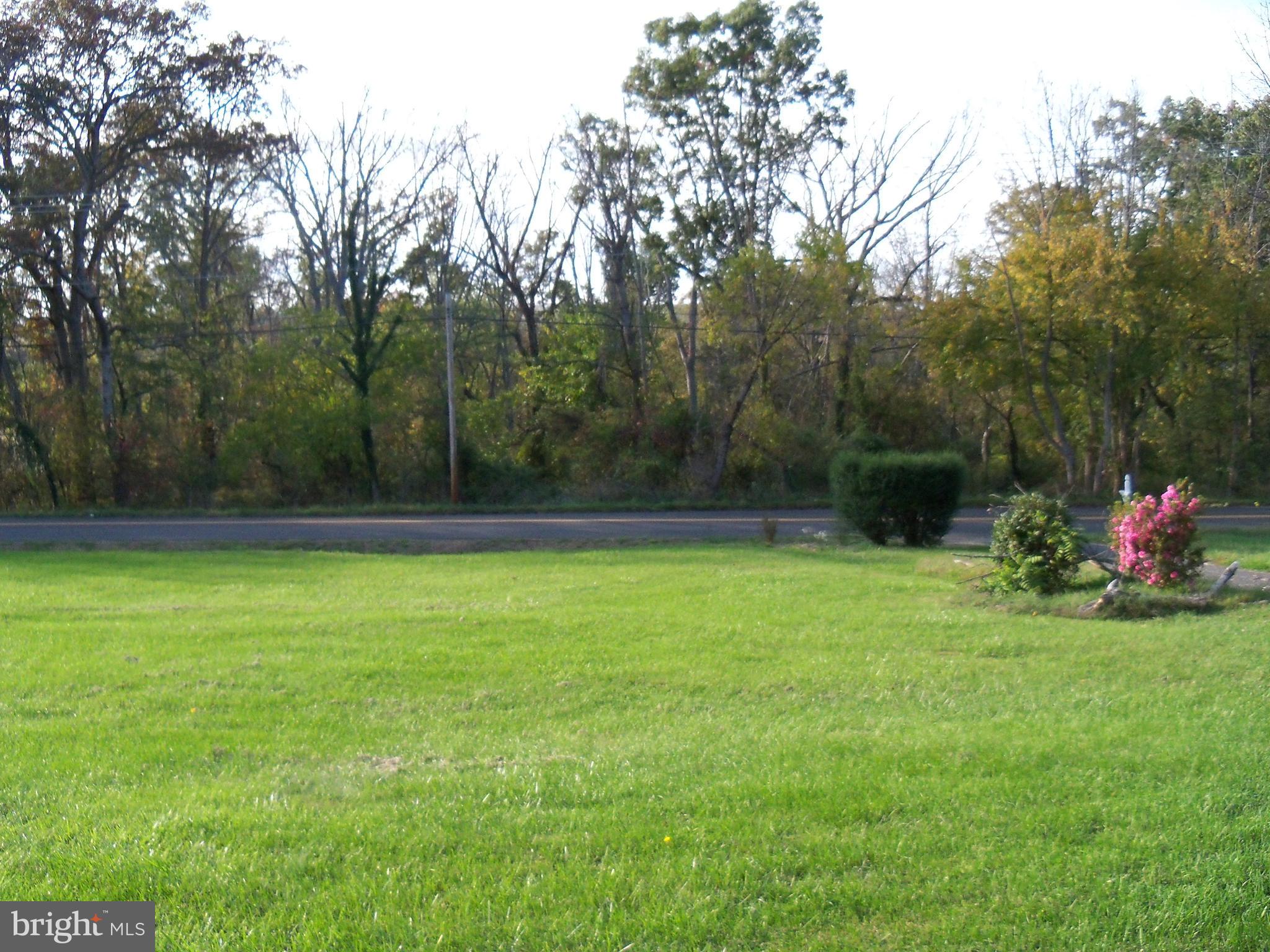 Halfway Road The Plains, VA 20198 - Photo 4 of 5 LAWN AREA TOWARD HALFWAY ROAD