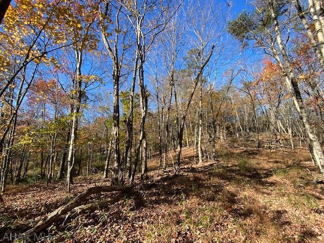 3362 Ragged Mountain Road Clearville, PA 15535 - Photo 4 of 22