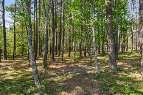 $1,399,000 | 5609 Bending Chestnut Road, Franklin, TN 37064