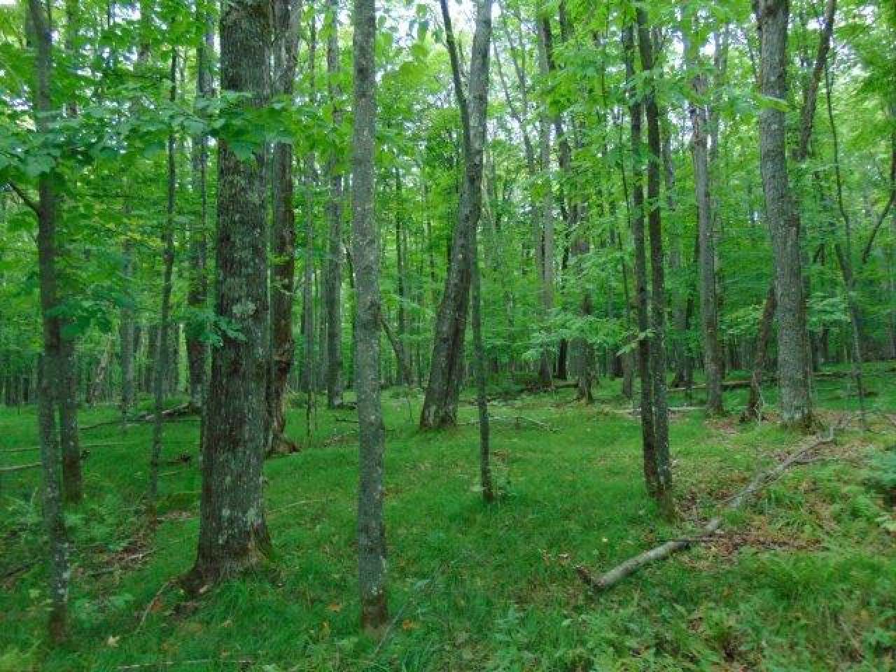 On Red Fox Road, Unit LOT 18 Presque Isle, WI 54557 - Photo 3 of 8 Gallery Image 3