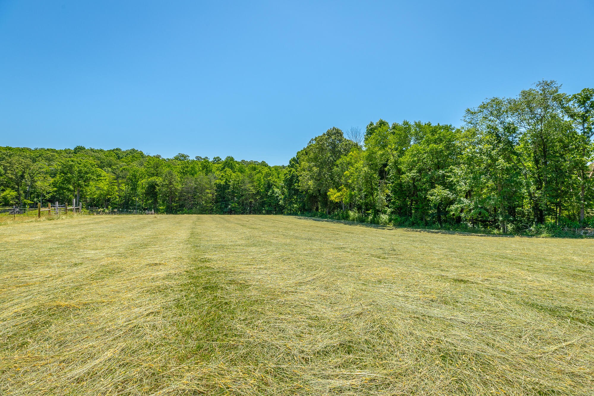 1655 West Cove Road Chickamauga, GA 30707 - Photo 13 of 62 Gallery Image 13
