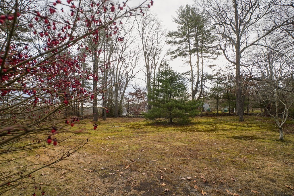 2 Perkins Lane Acushnet, MA 02743 - Photo 36 of 41 a view of dirt field with trees around