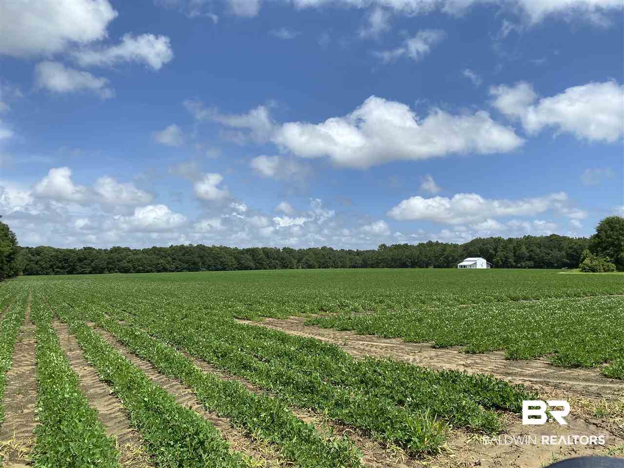 19380 Rada Road Silverhill, AL 36576 - Photo 5 of 6