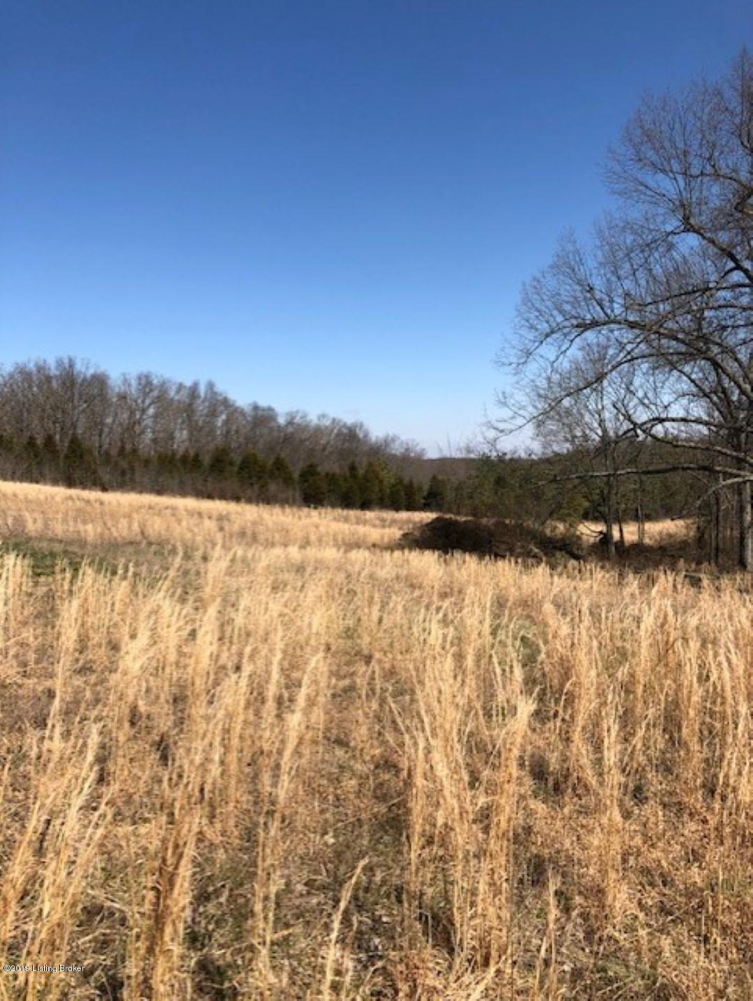 0 Lahue Cemetery Road Falls Of Rough, KY 40119 - Photo 2 of 2 1 (Large)