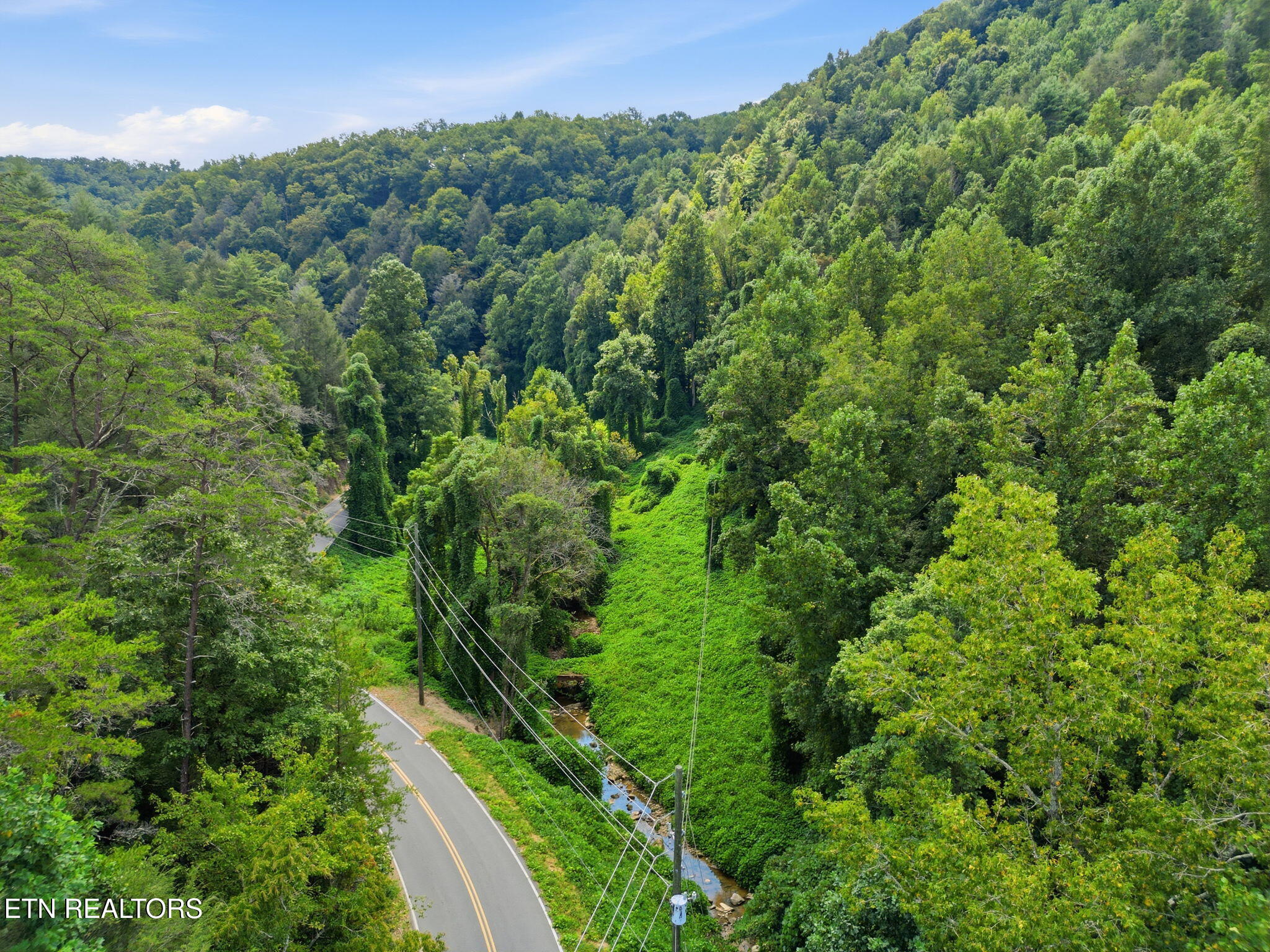 3910 Wilhite Road Sevierville, TN 37876 - Photo 39 of 45 38-web-or-mls-DJI_0962
