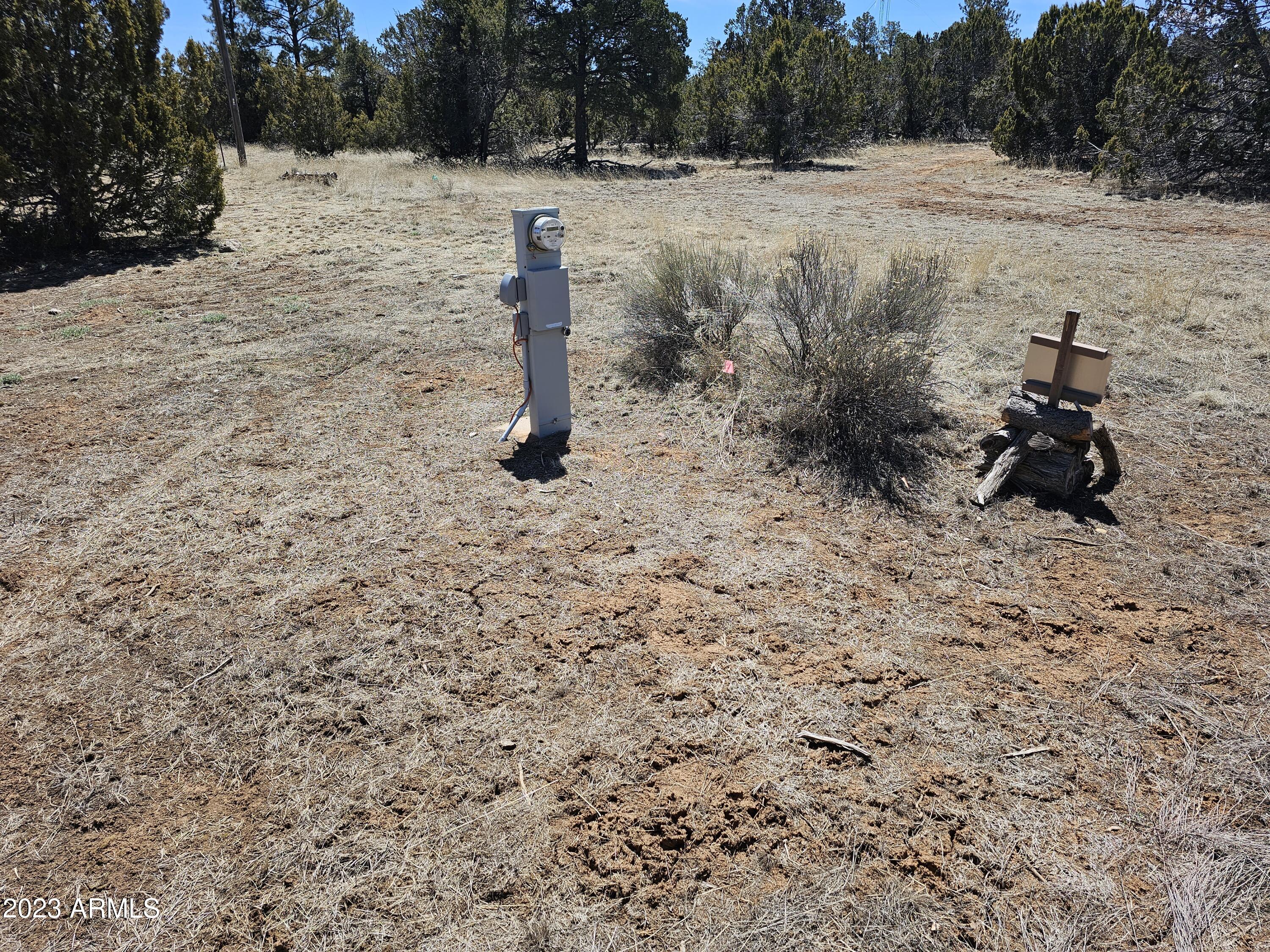 3356 Basin Road Overgaard, AZ 85933 - Photo 22 of 22 Underground meter
