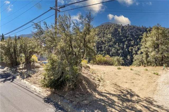 a view of a dry yard with mountains in the background