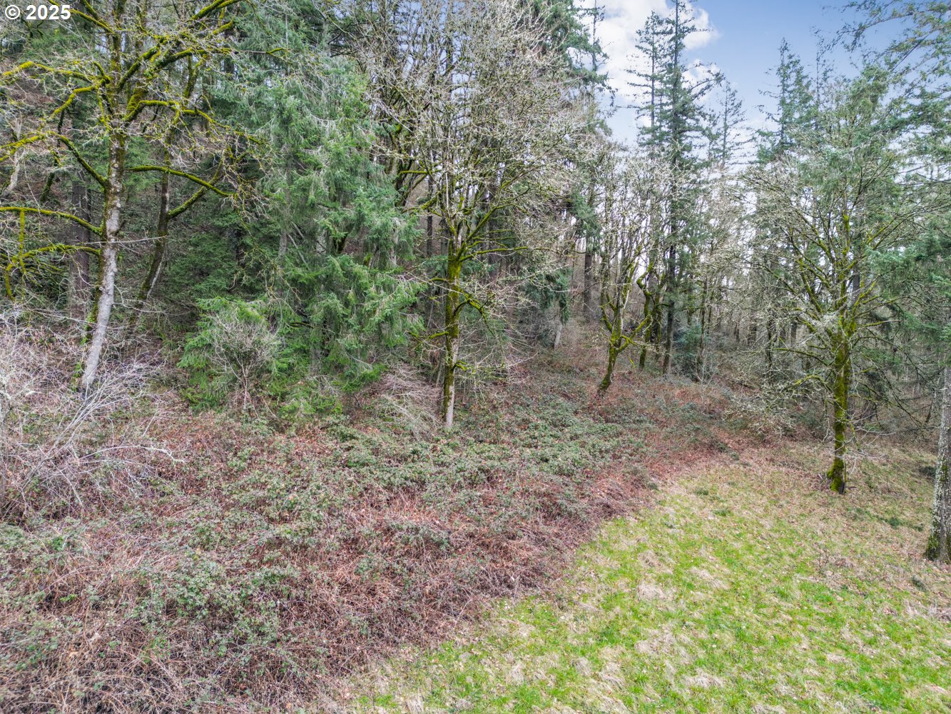 0 57th Street Washougal, WA 98671 - Photo 11 of 15 a view of a forest with trees in the background