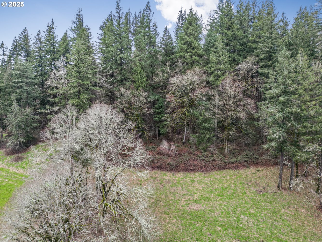 0 57th Street Washougal, WA 98671 - Photo 14 of 15 a view of a yard with a tree