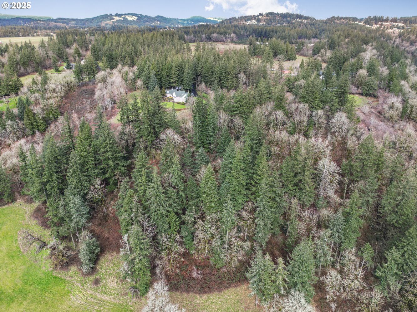 0 57th Street Washougal, WA 98671 - Photo 2 of 15 a view of lake and mountain view
