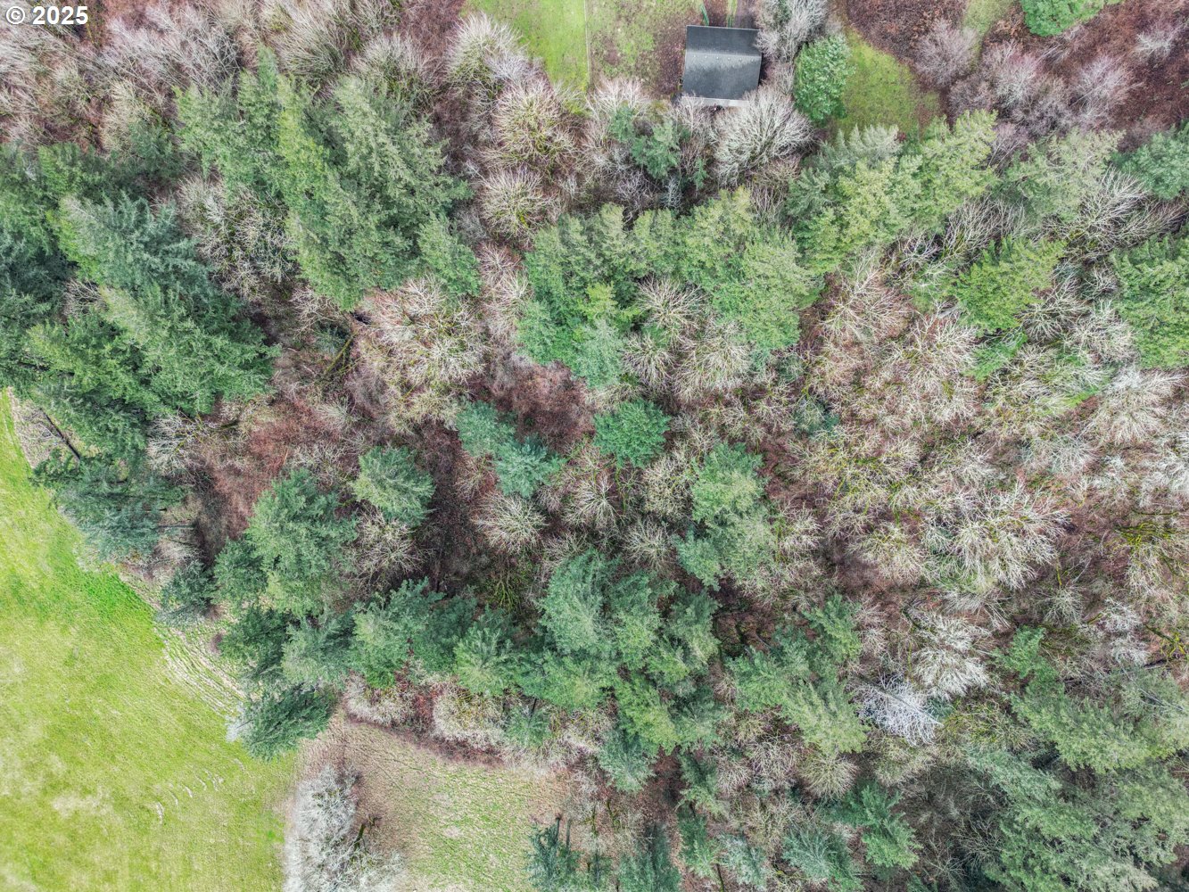 0 57th Street Washougal, WA 98671 - Photo 3 of 15 an aerial view of residential house with outdoor space and trees all around
