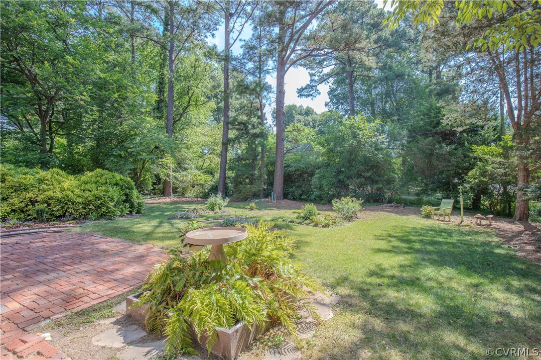 7706 Comanche Drive Richmond, VA 23225 - Photo 36 of 42 a view of backyard with green space