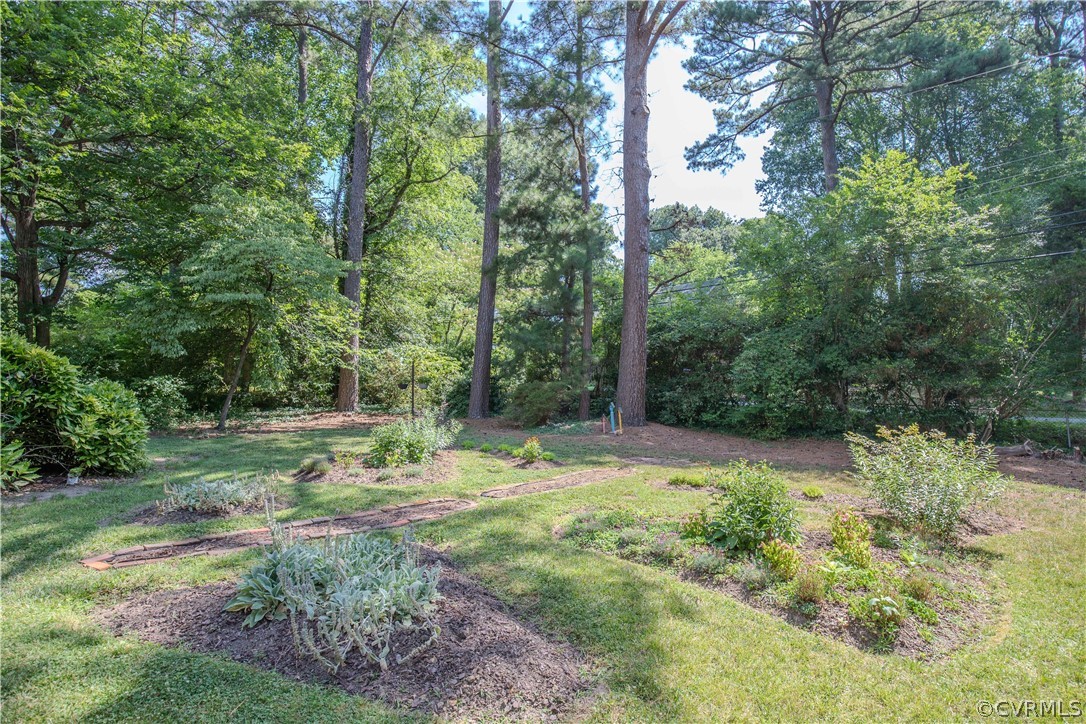 7706 Comanche Drive Richmond, VA 23225 - Photo 37 of 42 a fire hydrant in the middle of a field