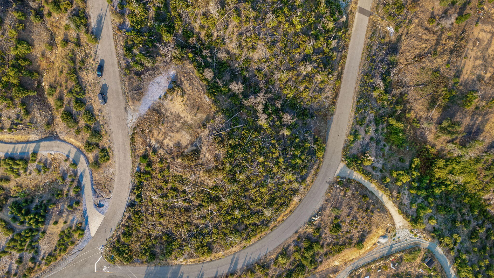 15346 Blackbart Road Shasta, CA 96087 - Photo 14 of 24 view of a tree