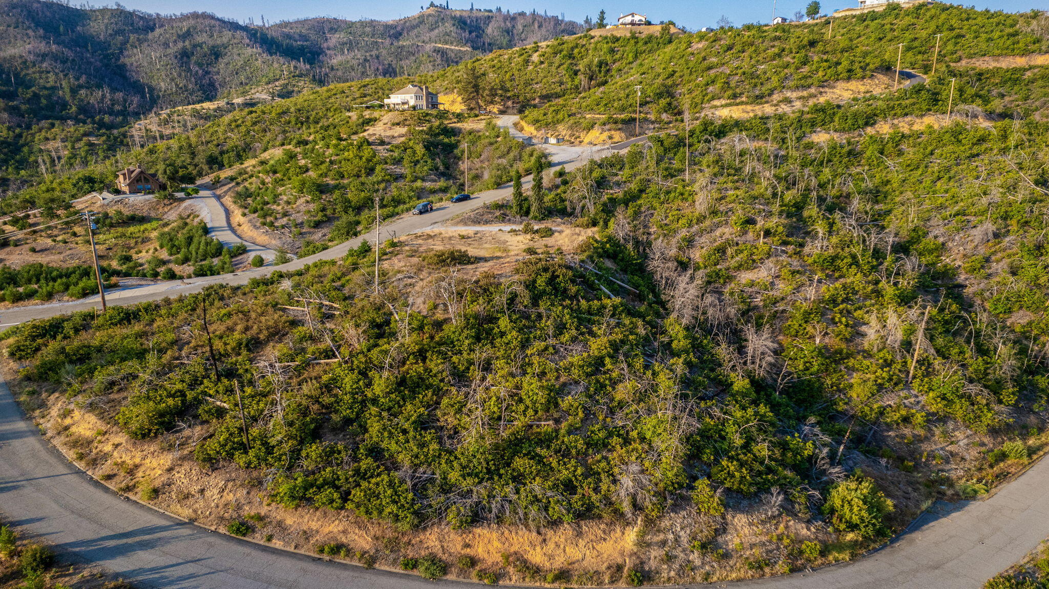 15346 Blackbart Road Shasta, CA 96087 - Photo 15 of 24 a view of a bunch of flowers and trees