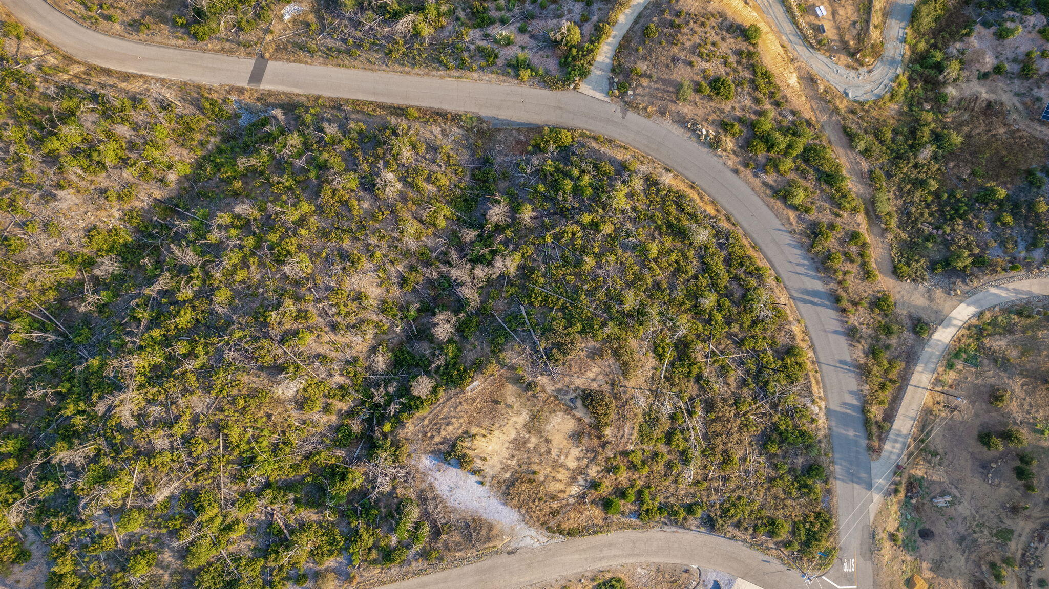 15346 Blackbart Road Shasta, CA 96087 - Photo 21 of 24 a view of a yard with a tree