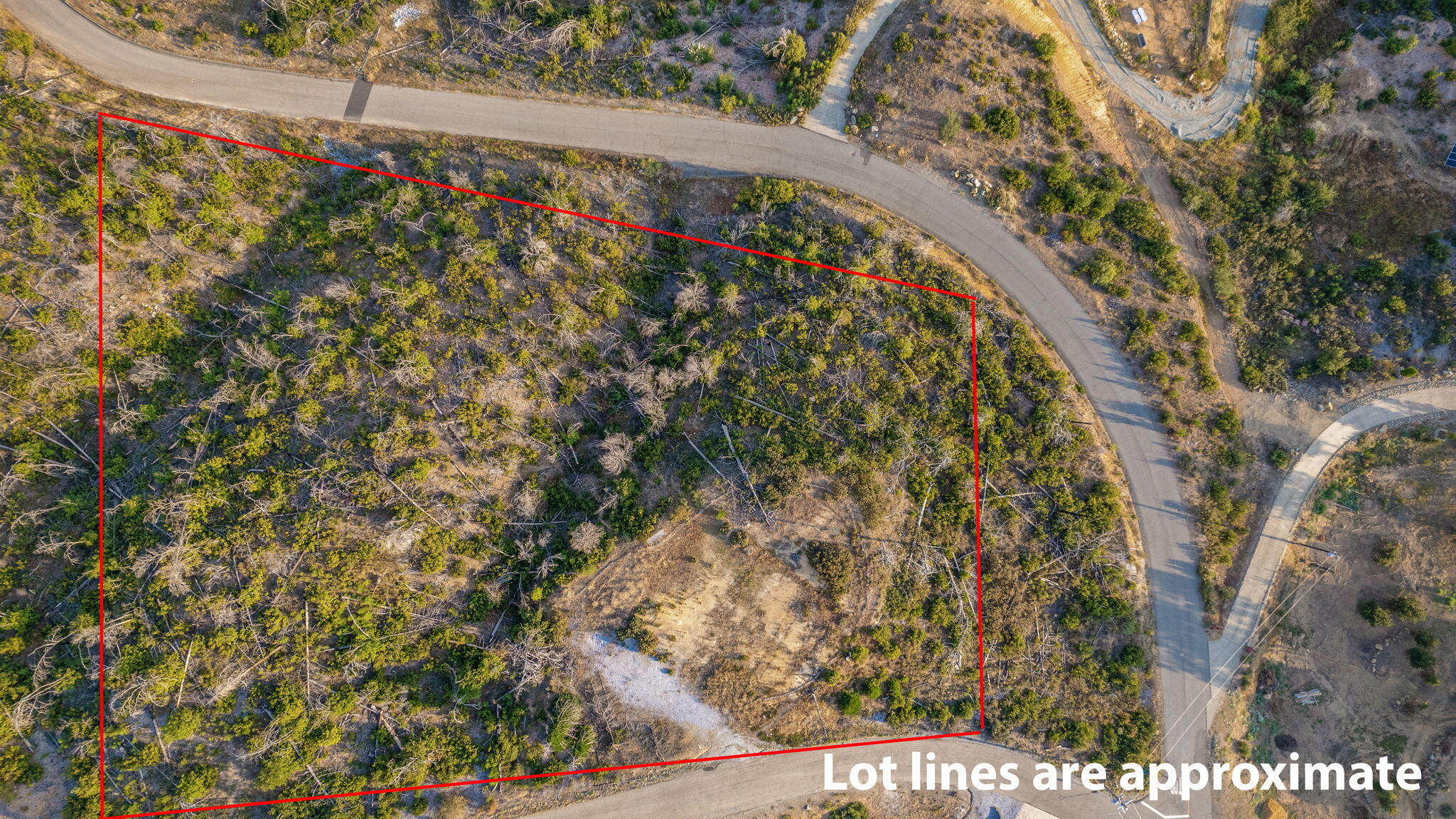 15346 Blackbart Road Shasta, CA 96087 - Photo 3 of 24 a view of a pathway in a yard