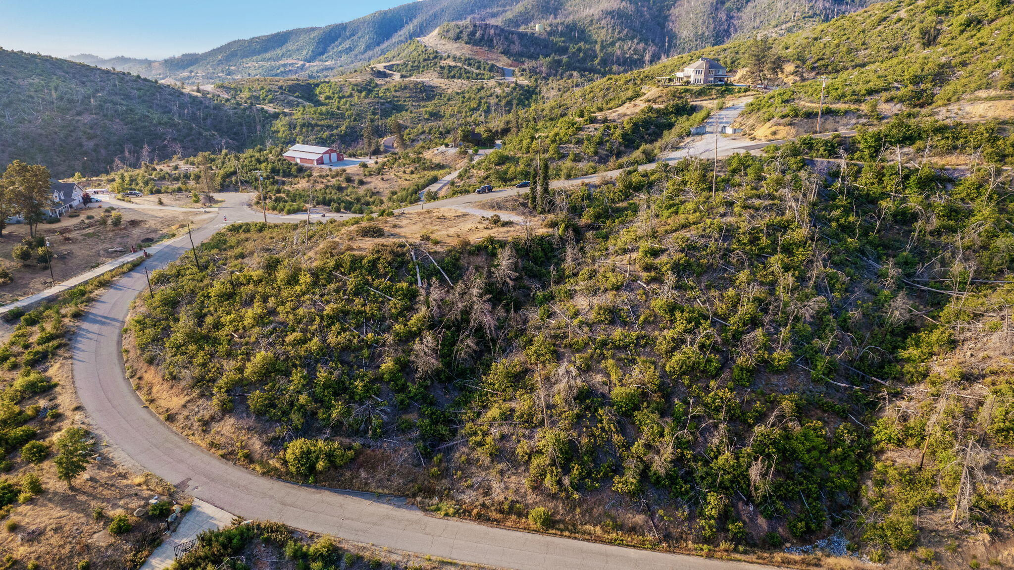 15346 Blackbart Road Shasta, CA 96087 - Photo 6 of 24 a view of a garden