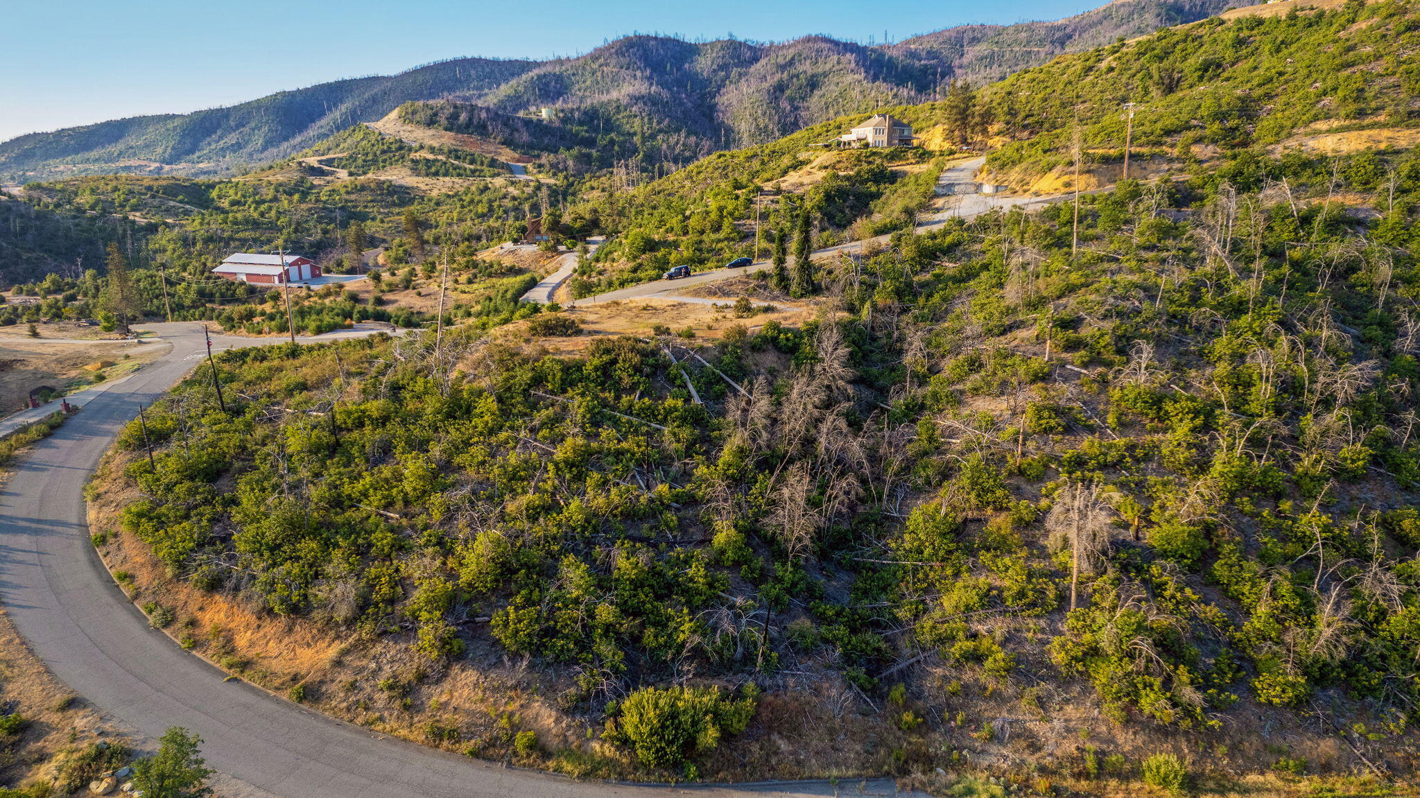 15346 Blackbart Road Shasta, CA 96087 - Photo 9 of 24 a view of a backyard