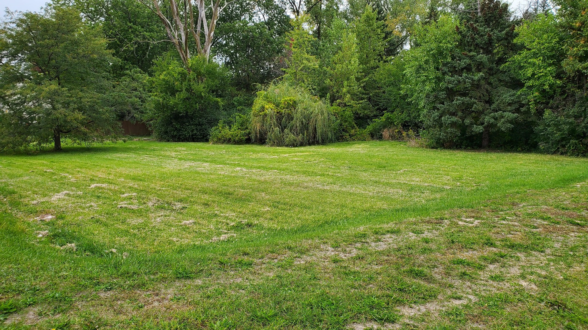 218 East Briarcliff Road Bolingbrook, IL 60440 - Photo 1 of 10 a view of a field with a trees