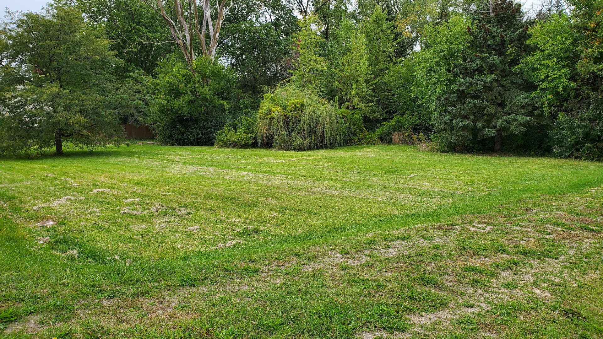 a view of a field with a trees