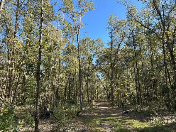 $997,700 | 55 West Highway 318, Reddick, FL 32686