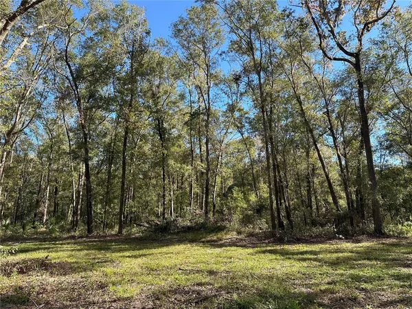 $997,700 | 55 West Highway 318, Reddick, FL 32686