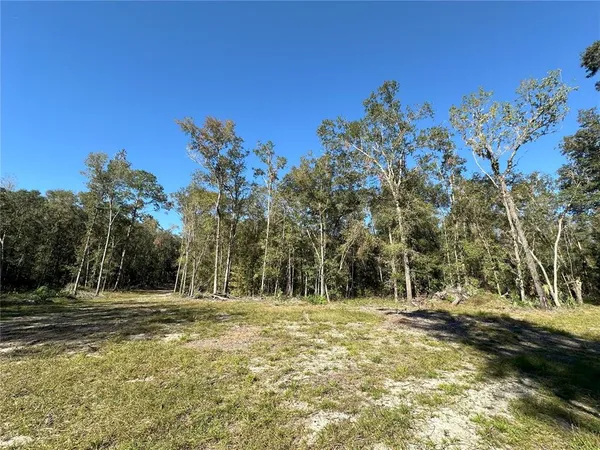 $997,700 | 55 West Highway 318, Reddick, FL 32686