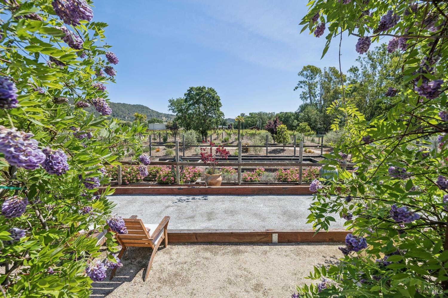 21117 Burndale Road Sonoma, CA 95476 - Photo 21 of 48 a view of a garden with plants